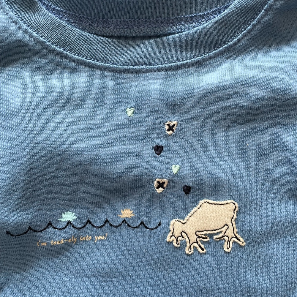 Bundle of 4 t shirts, size 2T, by Burt’s Bees Baby - Picture 3 of 4
